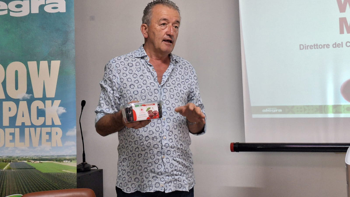 Walter Monari, direttore del Consorzio della Ciliegia di Vignola IGP